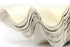 buy clam shells giant